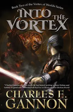 into the vortex book cover image