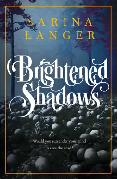 brightened shadows book cover image