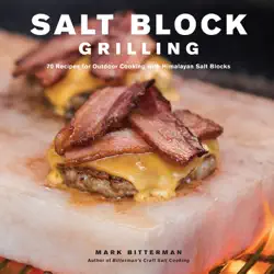 salt block grilling book cover image