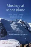 Musings at Mont Blanc sinopsis y comentarios