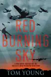 Red Burning Sky synopsis, comments