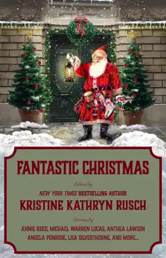 fantastic christmas book cover image