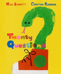 twenty questions book cover image