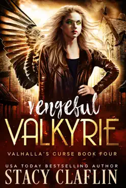 vengeful valkyrie book cover image