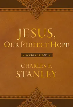 jesus, our perfect hope imagen de la portada del libro