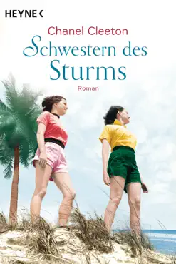 schwestern des sturms book cover image