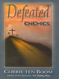 defeated enemies book cover image