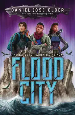flood city book cover image
