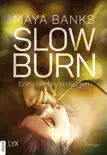 Slow Burn - Entfesseltes Verlangen synopsis, comments