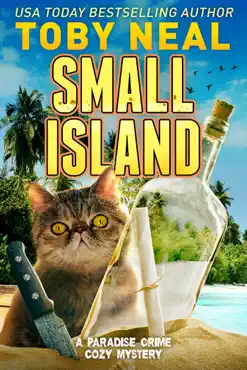 small island book cover image