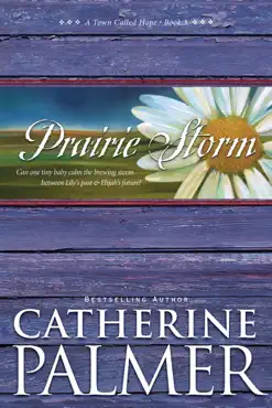 prairie storm book cover image