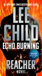 Echo Burning synopsis, comments