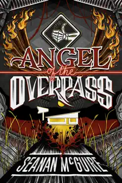 angel of the overpass book cover image