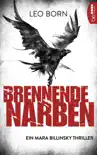 Brennende Narben synopsis, comments
