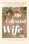 The Celestial Wife sinopsis y comentarios