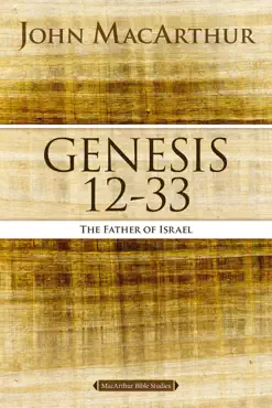 genesis 12 to 33 book cover image