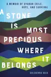 A Stone Is Most Precious Where it Belongs synopsis, comments