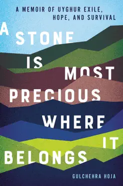 a stone is most precious where it belongs book cover image