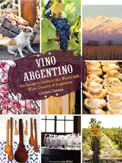 vino argentino book cover image