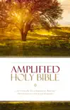 Amplified Holy Bible synopsis, comments