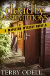 Deadly Assumptions synopsis, comments