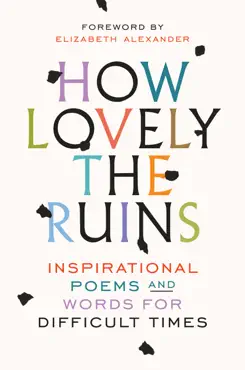 how lovely the ruins book cover image