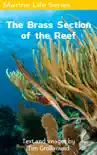 The Brass Section of the Reef synopsis, comments