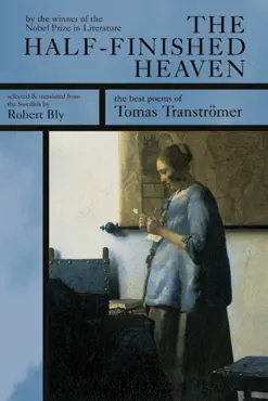 the half-finished heaven book cover image