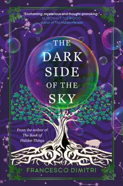 the dark side of the sky book cover image
