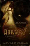Down Fall synopsis, comments