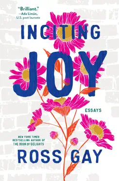 inciting joy book cover image