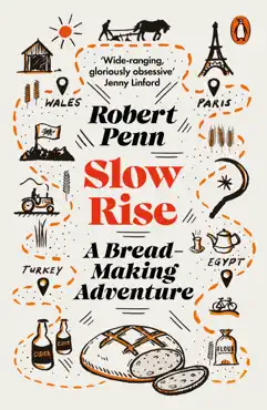 slow rise book cover image