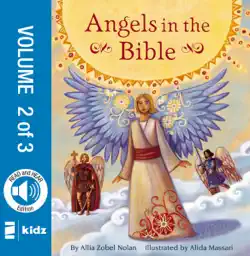 angels in the bible storybook, vol. 2 book cover image