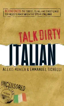 talk dirty italian book cover image