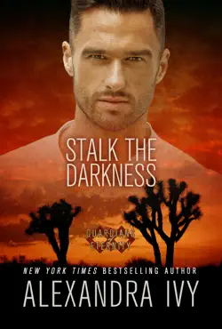 stalk the darkness book cover image