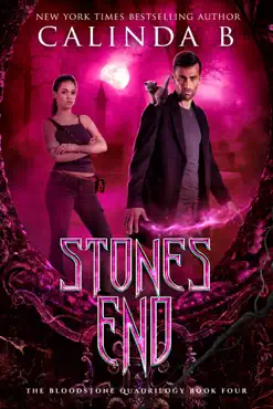 stones end book cover image
