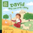 David and the Lost Lamb sinopsis y comentarios