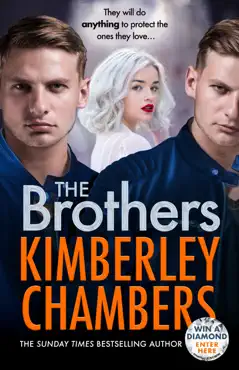 the brothers book cover image