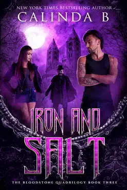 iron and salt book cover image
