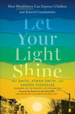 let your light shine book cover image