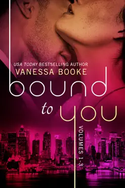 bound to you boxed set book cover image