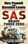 SAS Bravo Three Zero sinopsis y comentarios
