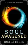 Soul Awakened synopsis, comments