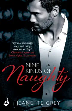 nine kinds of naughty: art of passion 3 imagen de la portada del libro