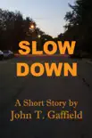 Slow Down synopsis, comments
