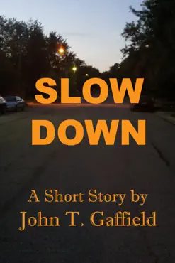 slow down book cover image