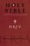 NRSV Bible synopsis, comments