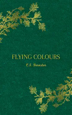 flying colours book cover image