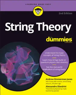 string theory for dummies book cover image