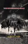 The Government Mule synopsis, comments